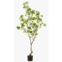 Artificial tea plant GUSHON, artificial trunk, green, 6ft/185cm