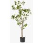 Artificial tea plant GUSHON, artificial trunk, green, 4ft/120cm