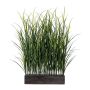 Artificial grass Switchgrass room divider ULINKA in wooden box, green, 3ftx20"x4ft/105x50x120cm