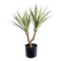 Artificial succulent Agave furcraea gigantea ZIFTE, artificial stem, green, 24"/60cm