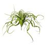 Artificial succulent Tillandsia streptophylla KRIFT, spike, green, 28"/70cm