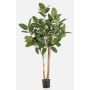 LEIFA artificial banyan fig tree with vines, real trunk, green, 170 cm