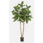 LEIFA artificial banyan fig tree with vines, natural trunk, green, 200cm