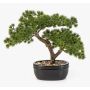 Artificial KANYA pine bonsai in a planter, 10"/25cm