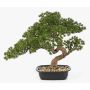 Artificial KANYA pine bonsai in a planter, 18"/45cm
