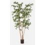 Artificial Bucida Buceras LEANDRI tree, natural trunk, green, 7ft/210cm