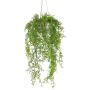 Decorative hanging moss fern hanging basket KLUHER, cement pot, green, 90cm