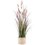 False grass Hare's tail KERNA in a basket, with panicles, pink, 24"/60cm
