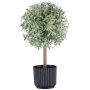 Decorative Rosemary Plant, tall stem, WINDAR, frosted, decorative pot, green-white, 10"/26cm