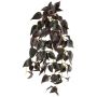 Decorative hanging plant: JURJYS variegated nettle, on a stake, burgundy, 30 cm