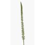 Artificial Sedum morganianum GRAXON, green, 33"/85cm