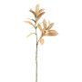 Decorative branch of bay laurel BRENTA, light brown, 30"/75cm