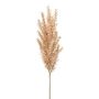 Artificial wood small-reed panicle FEDINA, snow-covered, light brown, 26"/65cm