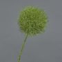Artificial flower Allium GLORF, green, 30"/75cm