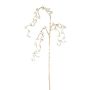 Decorative gaultheria branch VENTOR, hanging, champagne, 3ft/105cm