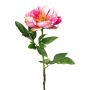 Artificial flower Peony PEFIN, fuchsia, 20"/50cm
