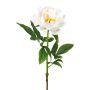 Artificial flower Peony PEFIN, white, 20"/50cm