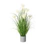 Decorative grass Pampas grass VILMO in decorative pot, panicles, cream, 30"/75cm
