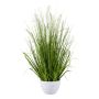 Decorative grass Fountain grass WELPUN in decorative pot, panicles, cream, 31"/80cm