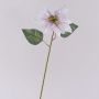 Artificial velvet poinsettia LIBASSE, white-pink, 45cm