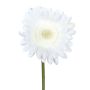 Artificial flower Gerbera TUNZA, white, 20"/50cm