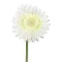 Artificial flower Gerbera TUNZA, cream, 20"/50cm