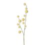 Artificial branch Gomphocarpus physocarpus YANIKA, fruits, light yellow, 3ft/105cm