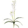 Artificial Dendrobium Sonia orchid NELTI, spike, roots, white, 24"/60cm