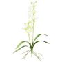Artificial Dendrobium Sonia orchid NELTI, spike, roots, light green, 24"/60cm
