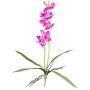 Artificial Dendrobium Sonia orchid NELTI, spike, roots, purple, 24"/60cm