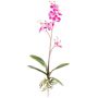 Artificial Phalaenopsis orchid MALZA, spike, roots, cerise, 22"/55cm