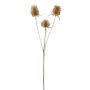 Artificial wild teasel branch ZILVEN, gold, 26"/65cm