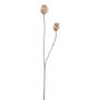Decorative branch Poppy capsules ORIONLA, light brown, 26"/65cm