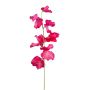 Artificial flower Lathyrus latifolius TERRAT, fuchsia, 20"/50cm