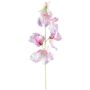 Artificial flower Lathyrus latifolius TERRAT, dusky pink-green, 20"/50cm