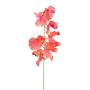 Artificial flower Lathyrus latifolius TERRAT, salmon, 20"/50cm