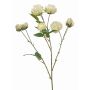 TRUVOL artificial cabbage rose branch, white-green, 65cm, Ø2–6cm