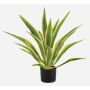 Artificial Agave americana ZURNAL in decorative pot, crossdoor, green-yellow, 28"/70cm