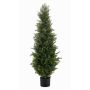 Artificial cedar ZARGEN, crossdoor, green, 4ft/120cm