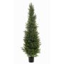 Artificial cedar ZARGEN, crossdoor, green, 5ft/150cm