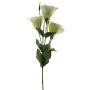 False Lisianthus ALARONA, cream, 22"/55cm