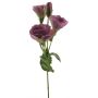 False Lisianthus ALARONA, mauve, 22"/55cm