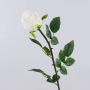 SUNJIK artificial rose, cream, 75cm, Ø7cm