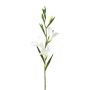Artificial flower Gladiolus LUNDYL, white, 28"/70cm