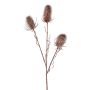 Artificial flower branch Wild teasel BLOVEN, copper, 24"/60cm