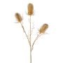 Artificial flower branch Wild teasel BLOVEN, gold, 24"/60cm