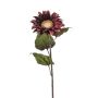 Velvet sunflower MAHEALANI, burgundy red-gold, 30"/75cm