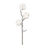 Decorative cotton branch SKLAVAN with fruits, white, 18"/45cm