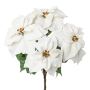 Velvet poinsettia DRENMA, white, 26"/65cm