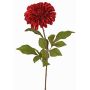 Velvet dahlia TINFAS, dark red, 24"/60cm, Ø5.1"/13cm